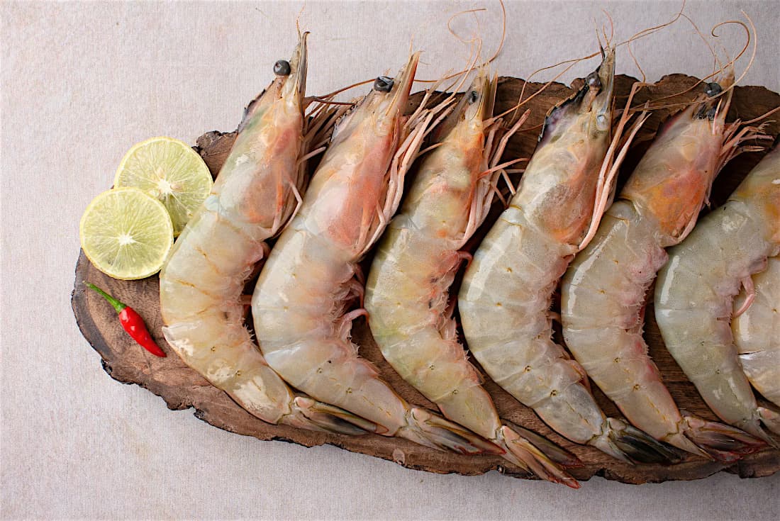 LARGE SEA PRAWNS