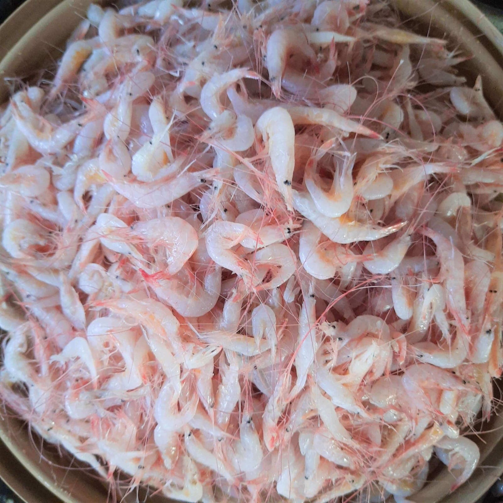 Tiny prawns / kardi