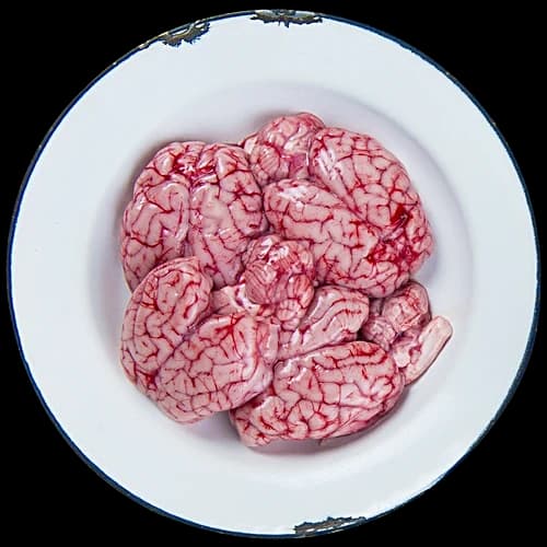 Mutton brain