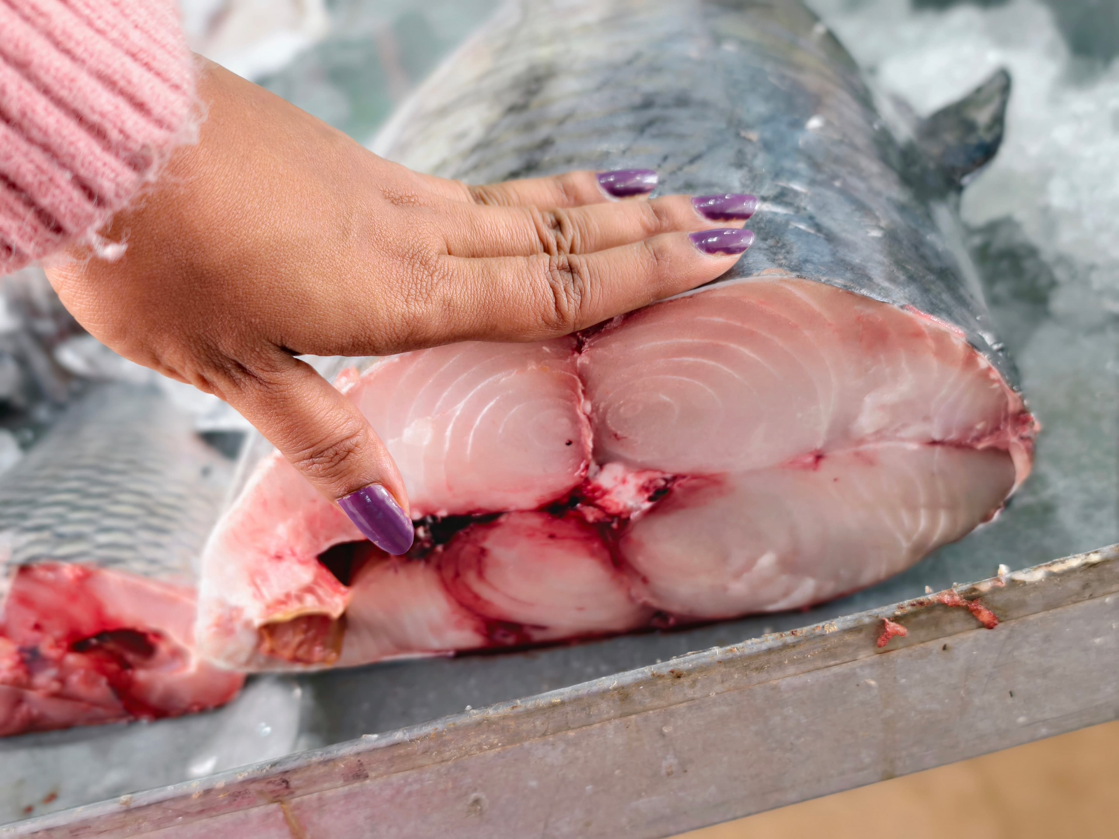 Surmai palm jumbo slice