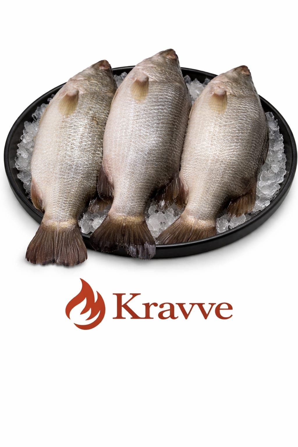 Bhetki / Seabass / Chanak