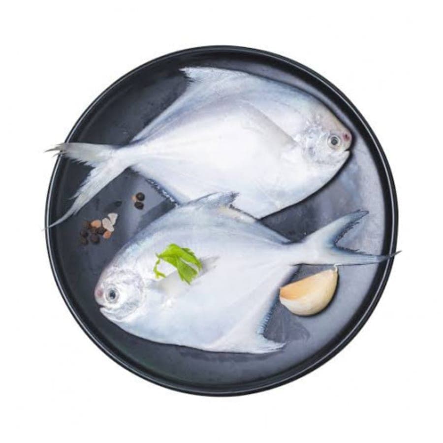 White Pomfret big kg