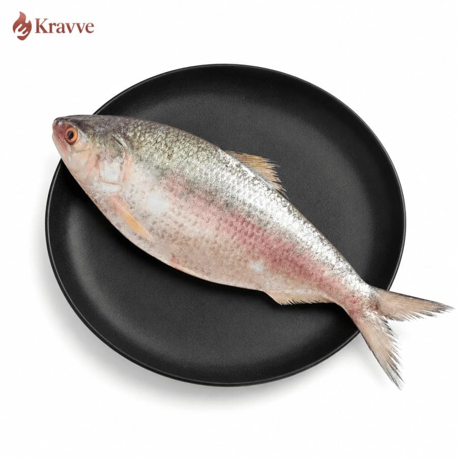 Hilsa / Eilish / Palla kg
