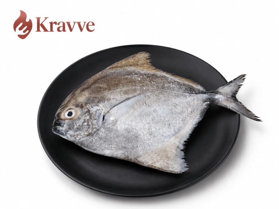 Black pomfret / Halwa kg