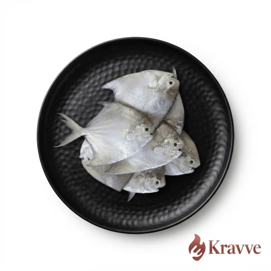 Small Pomfret kg