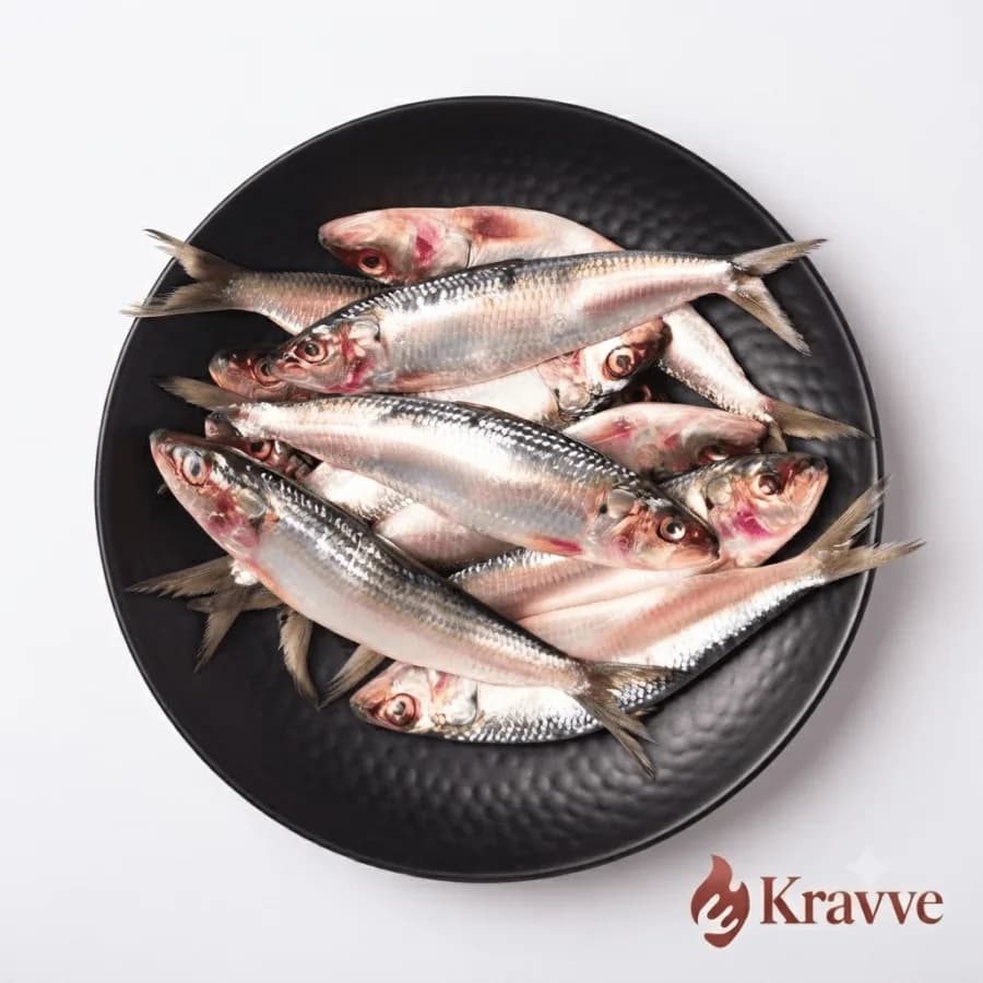 SARDIN FISH kg