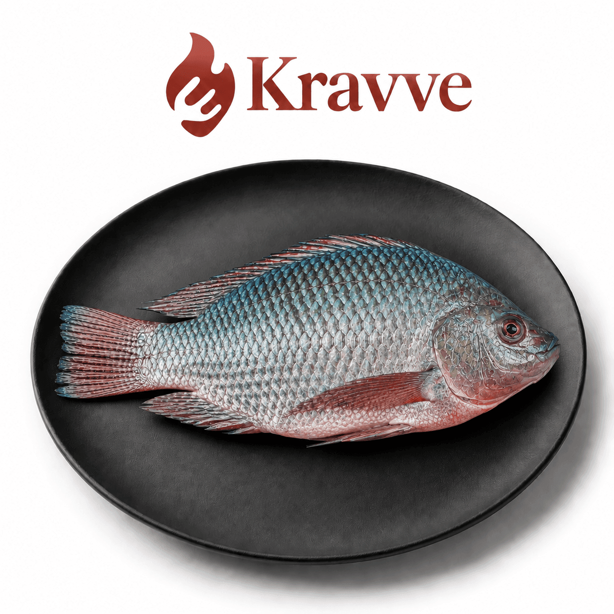 Tilapia Fish