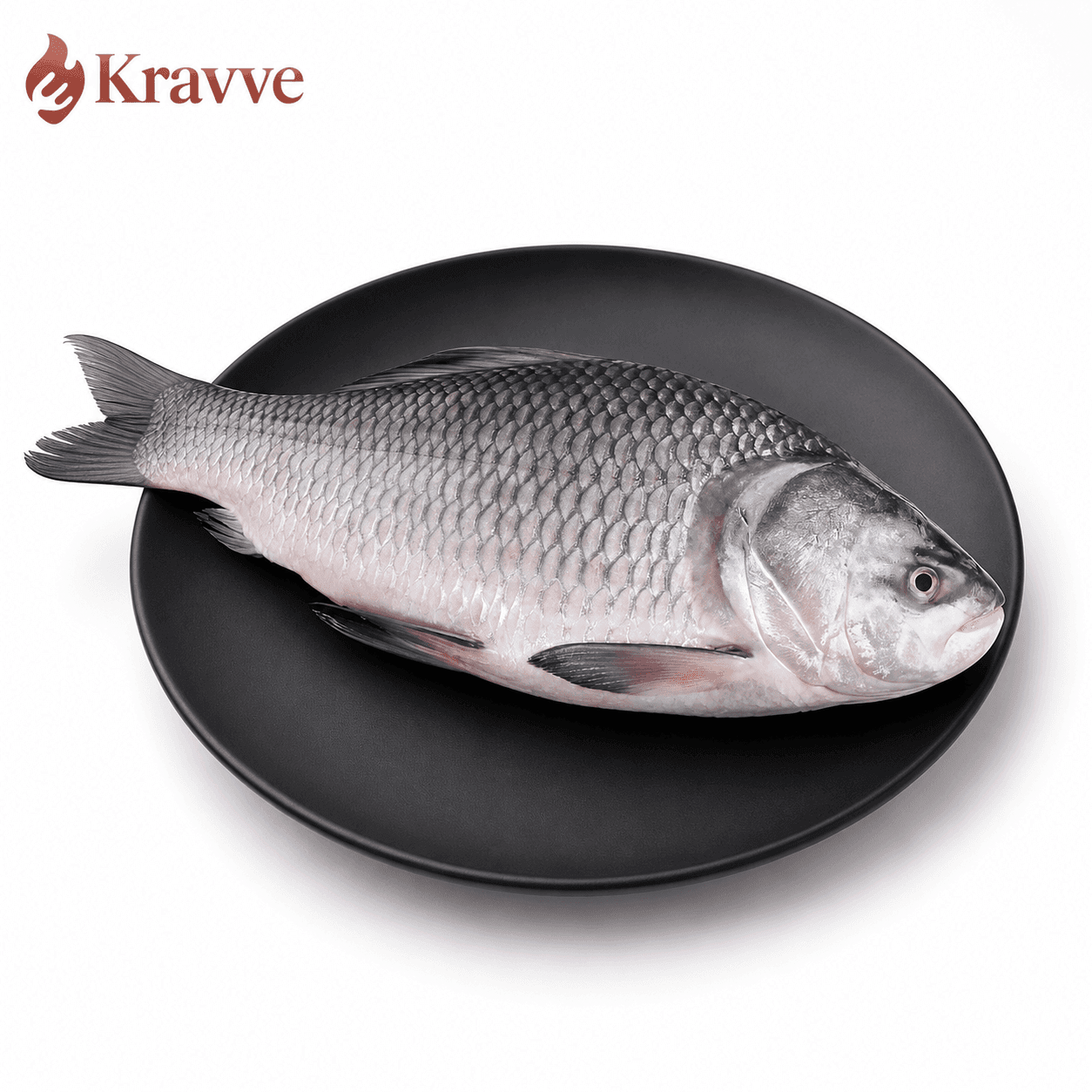 Katla Fish